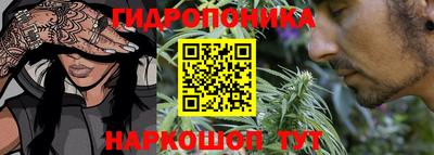 твердый Тара