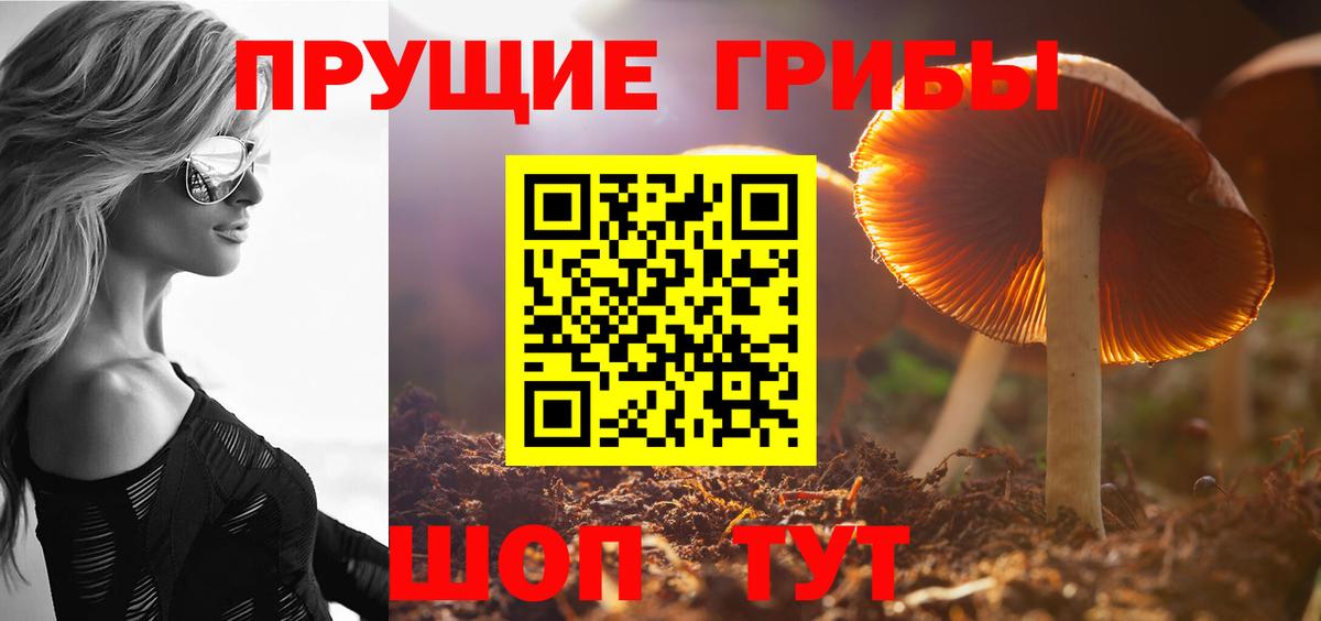 где продают наркотики  Псилоцибиновые грибы GOLDEN TEACHER  Вход с VPN  Нурлат 